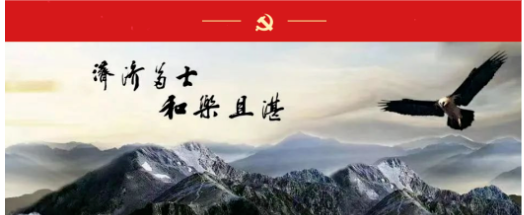 济和荣誉 | 律所联合党支部、优秀党员、优秀律师荣誉简介